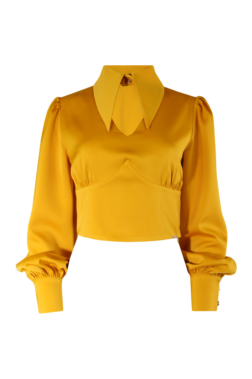 Blusa acetinada com gola