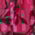 Print/Pink