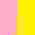 Rose | Yellow
