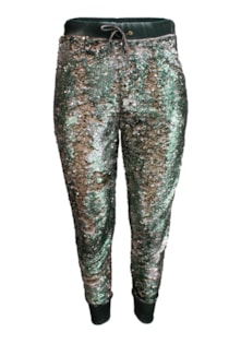 sh1603395r-verde1