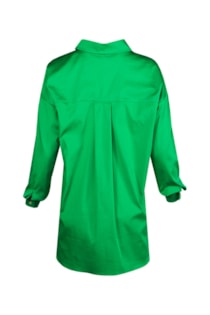 sh2203454v-green-1b