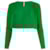 sh2203720l-green-1