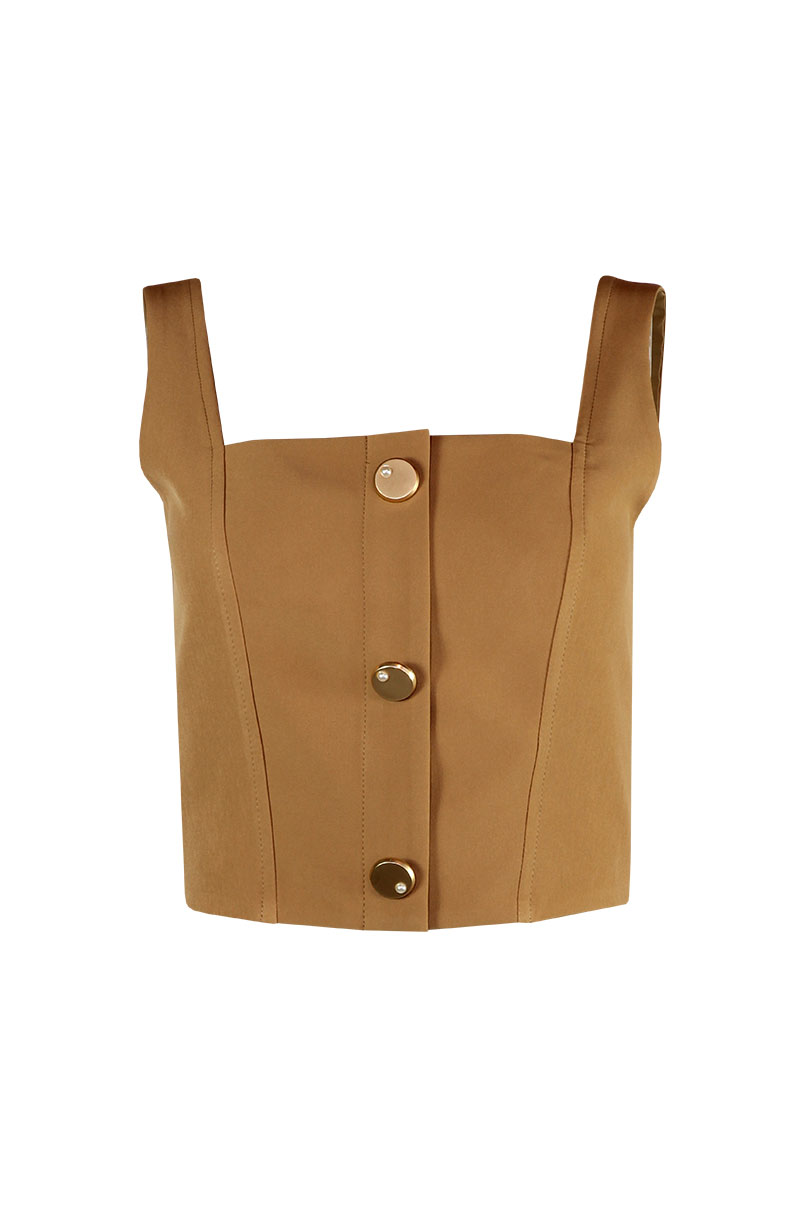 sh2203609v-camel-1