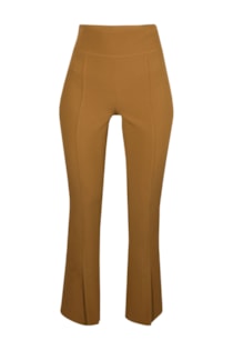 sh2203309n-camel-1