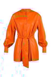 sh2203810v-orange-1