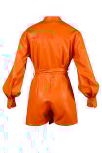 sh2203810v-orange-1b