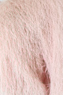 fw24-17-1